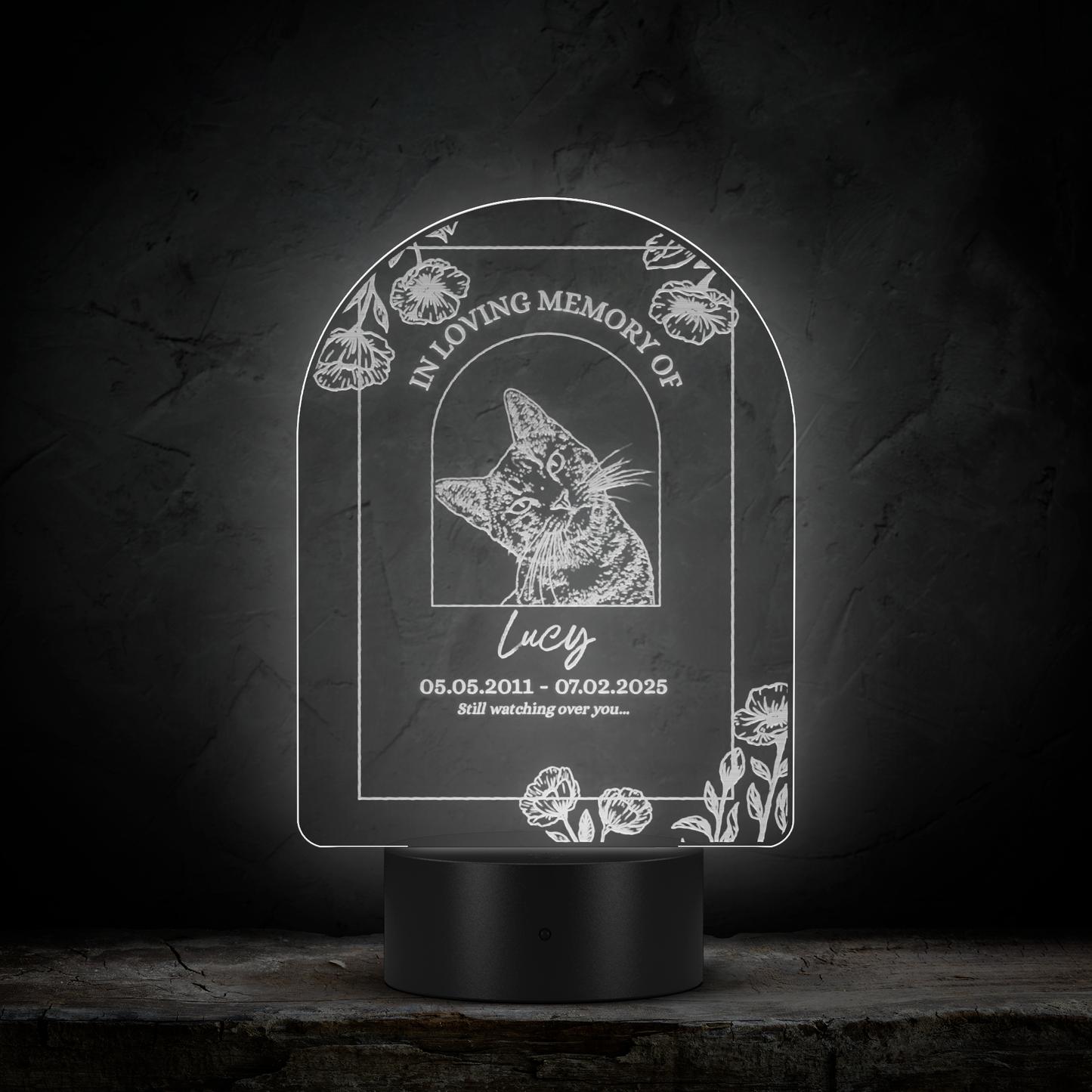 Memorial_Pet_Night_Light_Arc_Dark_Main_Mockup.png