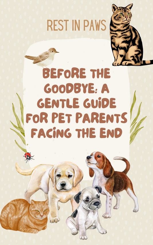 Before the Goodbye: A Gentle Guide for Pet Parents Facing the End