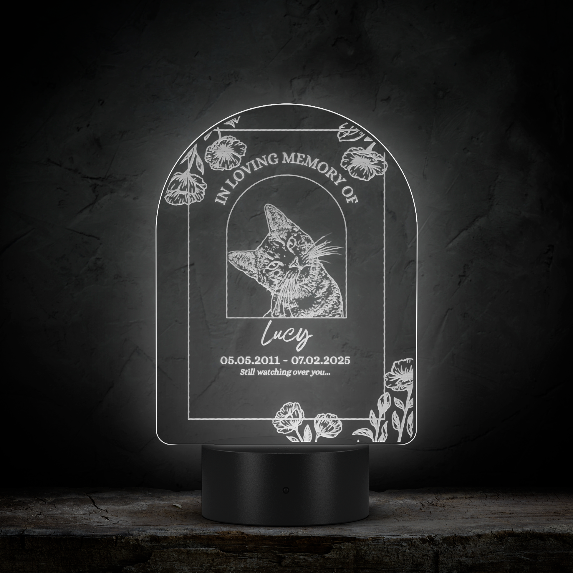 Memorial_Pet_Night_Light_Arc_Dark_Main_Mockup.png