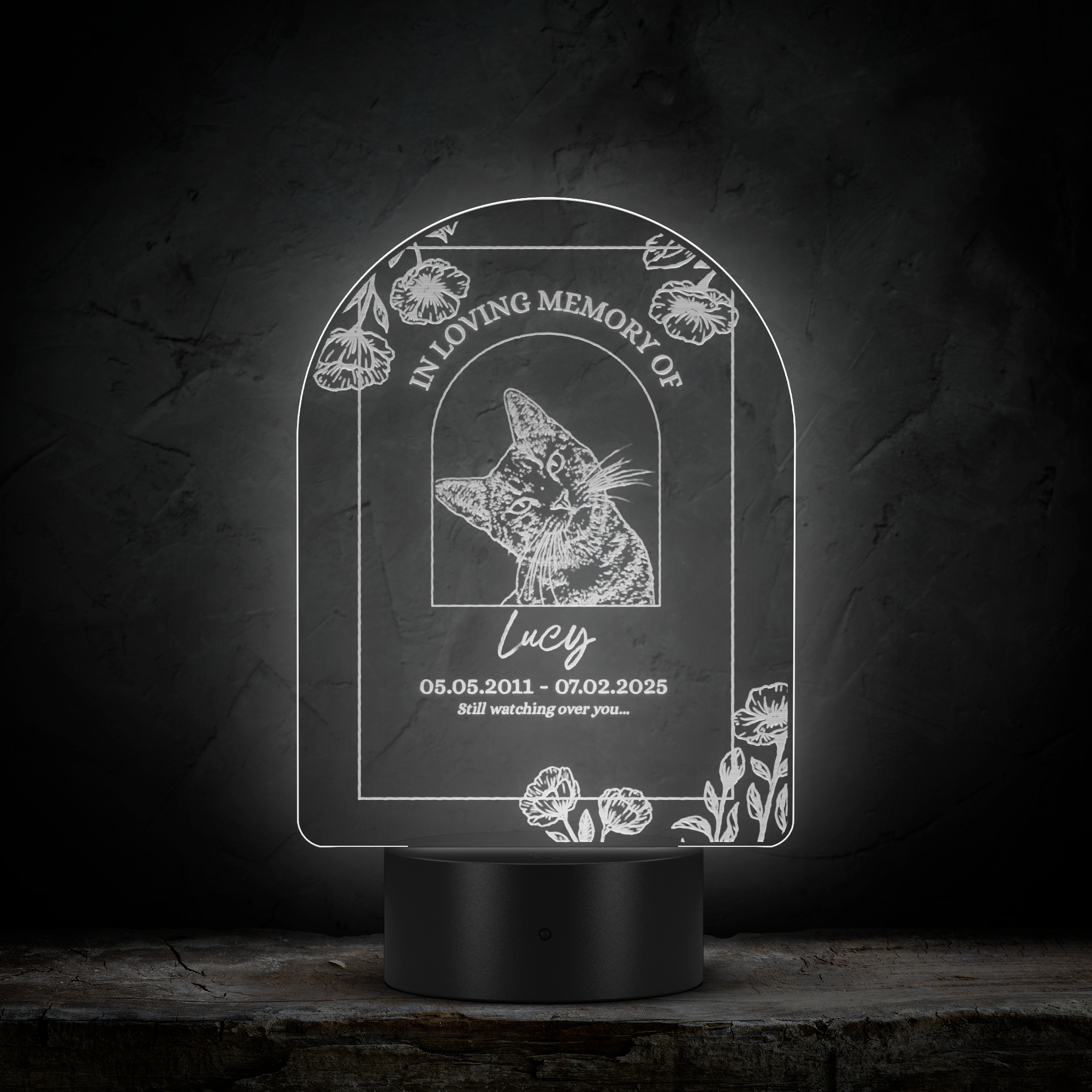 Memorial_Pet_Night_Light_Arc_Dark_Main_Mockup.png